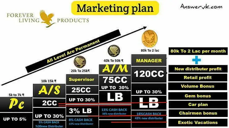 Forever Marketing Plan in Hindi